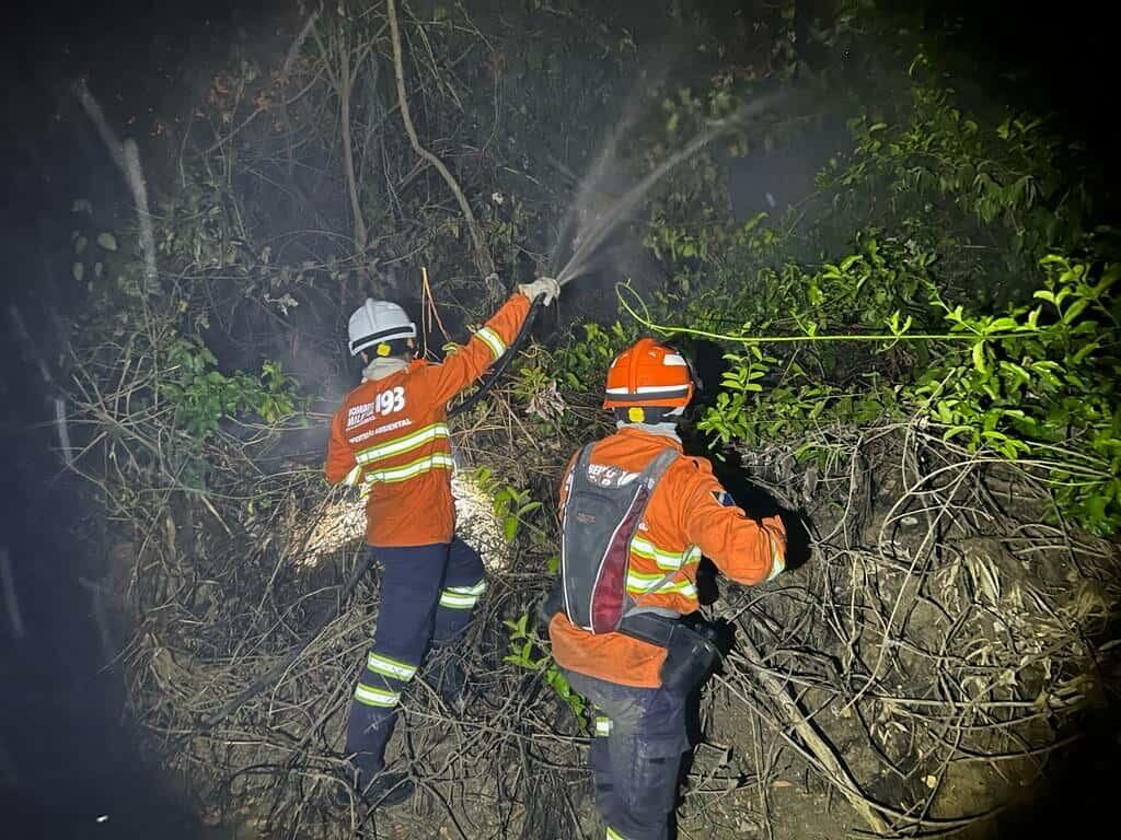 Imagem de compartilhamento para o artigo Bombeiros de MS controlam focos de incêndios no Pantanal da MS Todo dia